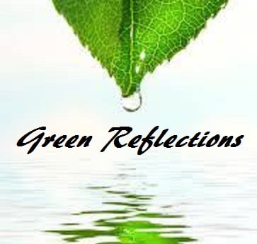 Green Reflections Garden Design